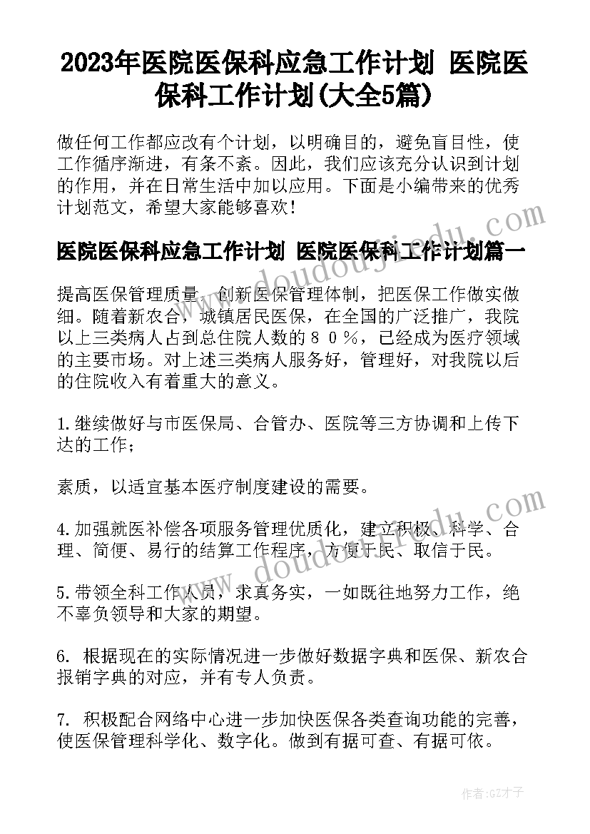 2023年医院医保科应急工作计划 医院医保科工作计划(大全5篇)