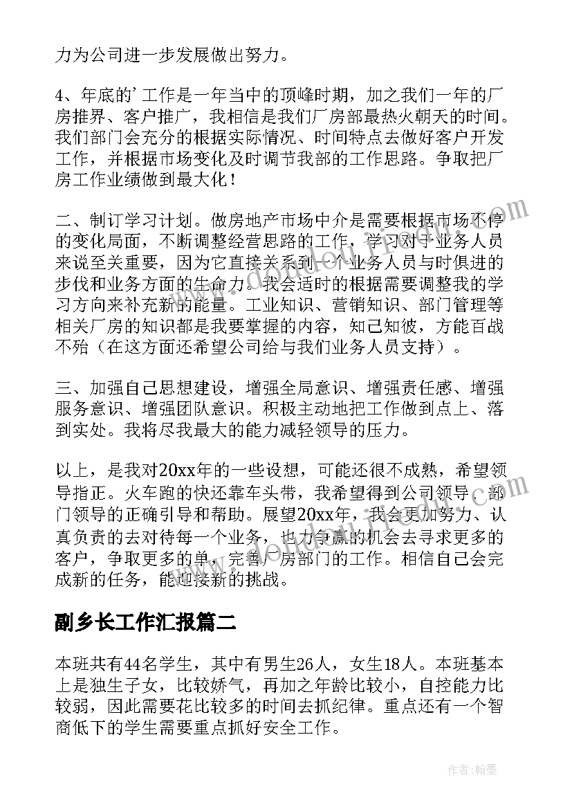 副乡长工作汇报(精选6篇)