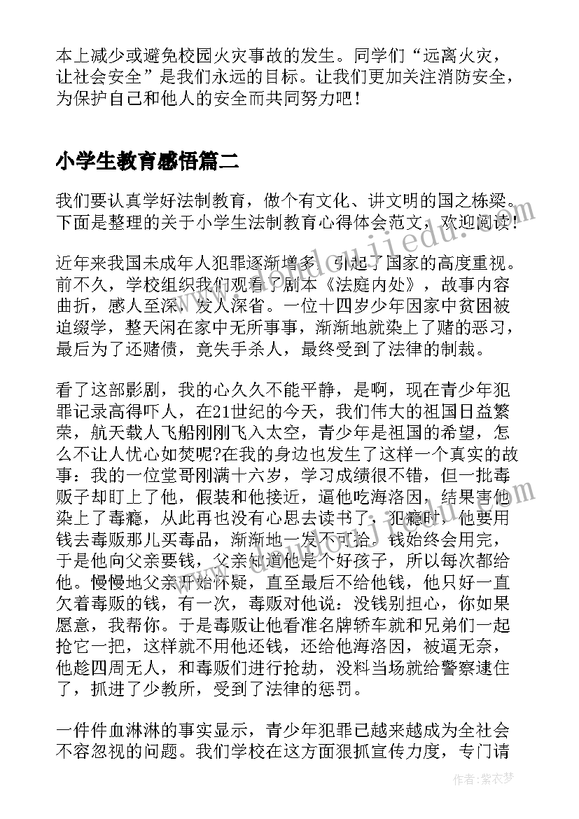 最新小学生教育感悟(通用9篇)