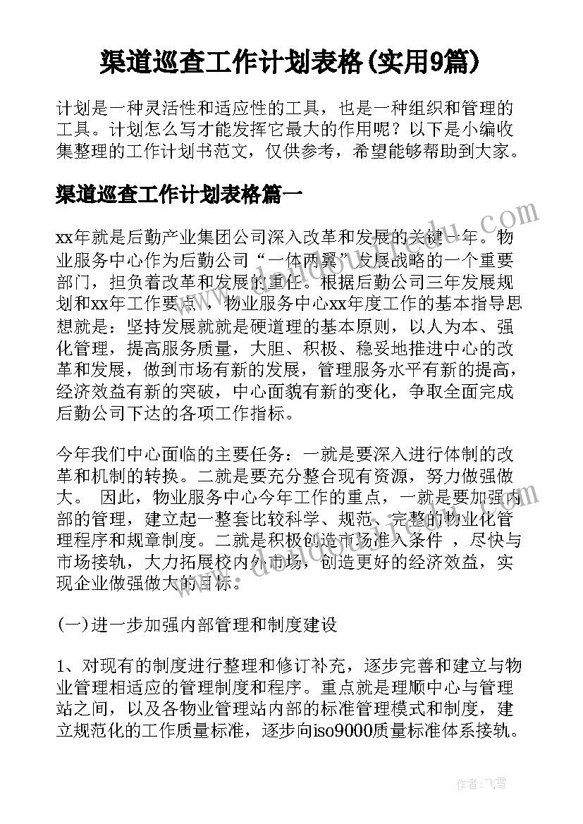 渠道巡查工作计划表格(实用9篇)