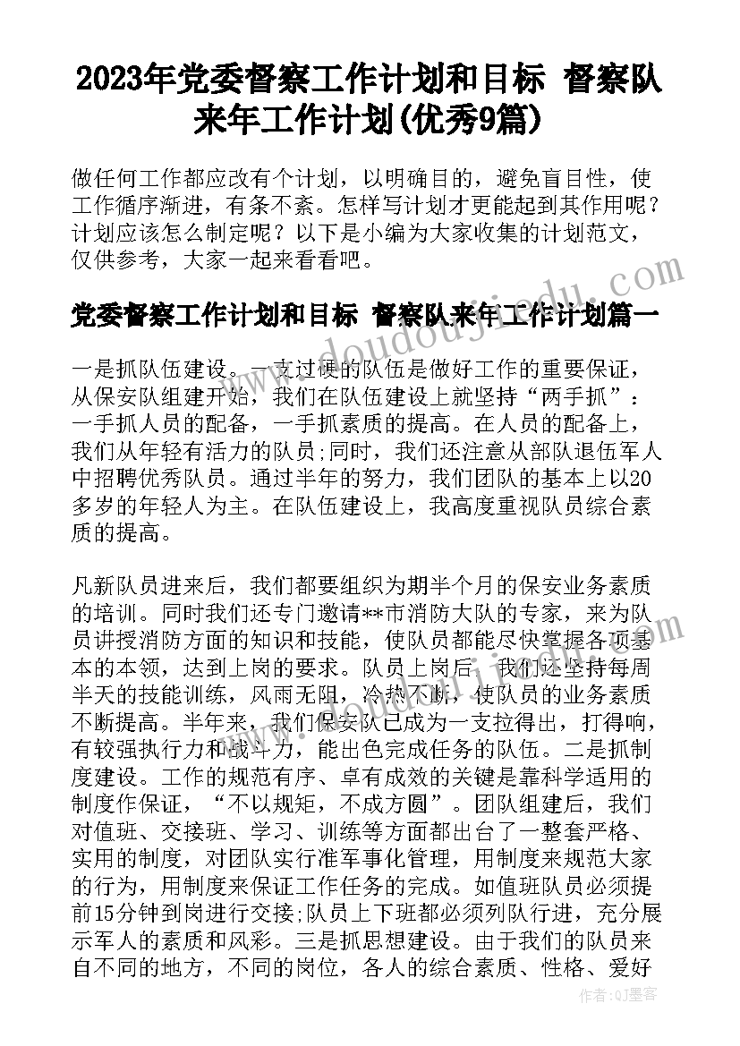 2023年党委督察工作计划和目标 督察队来年工作计划(优秀9篇)