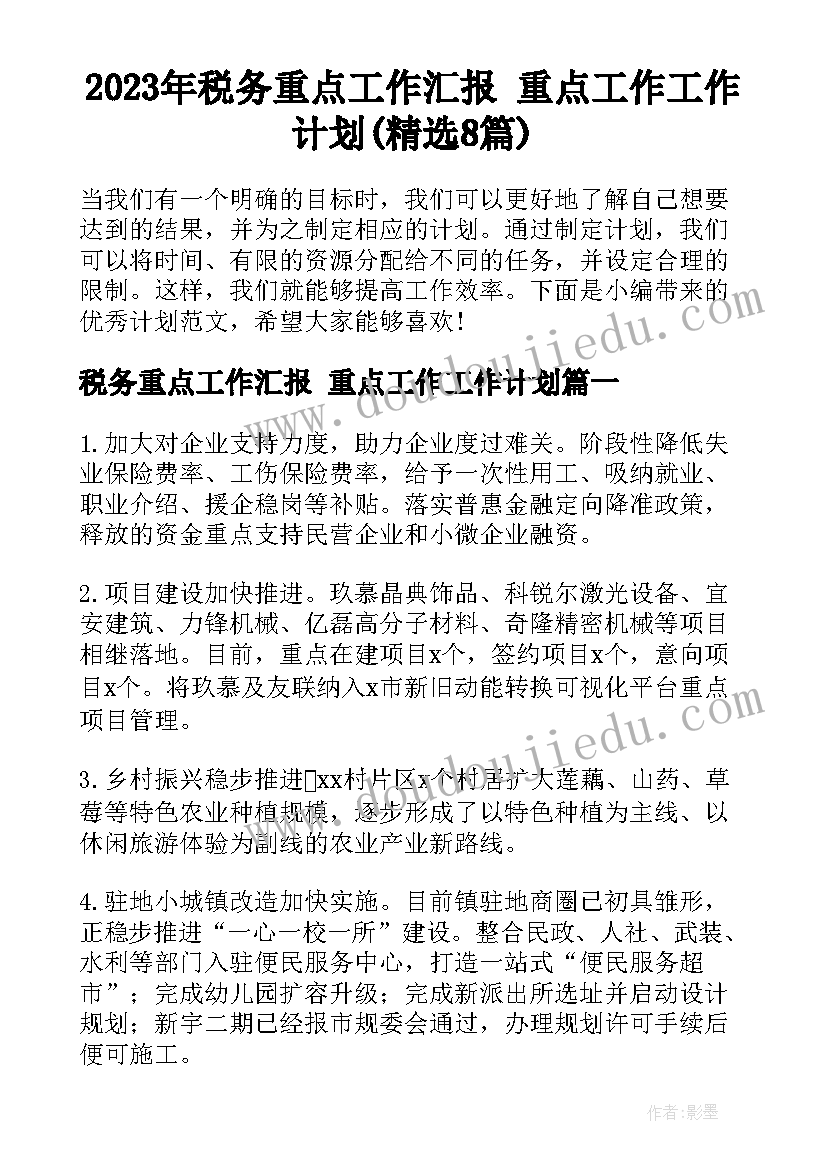 2023年税务重点工作汇报 重点工作工作计划(精选8篇)