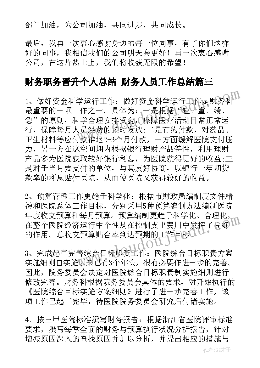 财务职务晋升个人总结 财务人员工作总结(模板9篇)