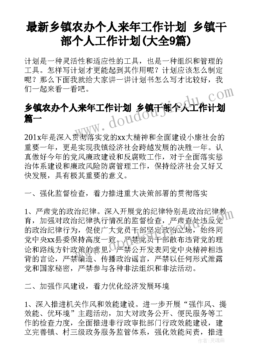 最新乡镇农办个人来年工作计划 乡镇干部个人工作计划(大全9篇)