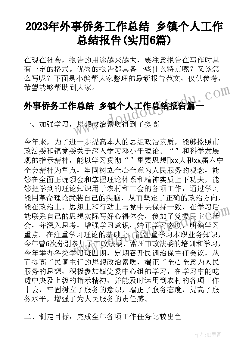 2023年外事侨务工作总结 乡镇个人工作总结报告(实用6篇)