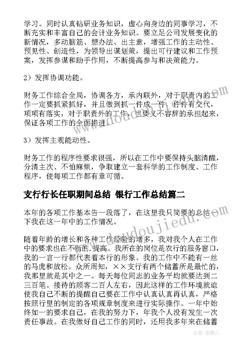 2023年支行行长任职期间总结 银行工作总结(优质5篇)