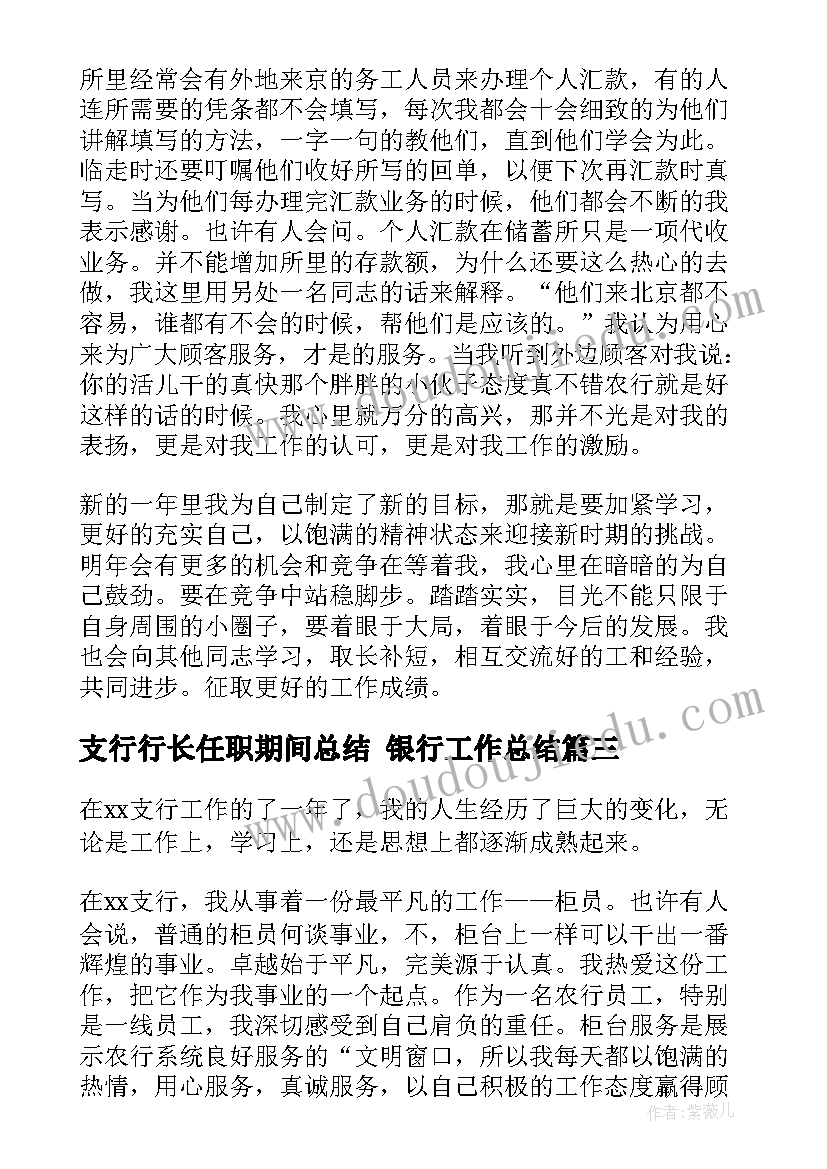 2023年支行行长任职期间总结 银行工作总结(优质5篇)