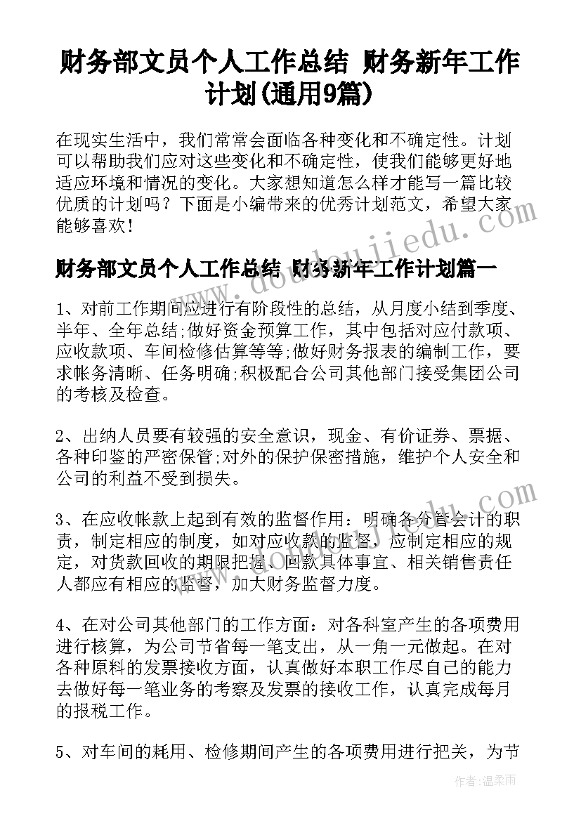 财务部文员个人工作总结 财务新年工作计划(通用9篇)