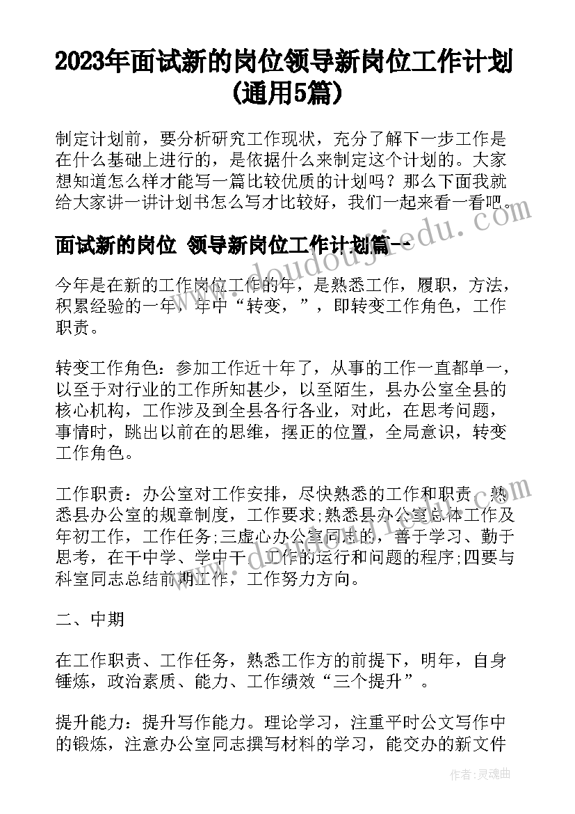 2023年面试新的岗位 领导新岗位工作计划(通用5篇)