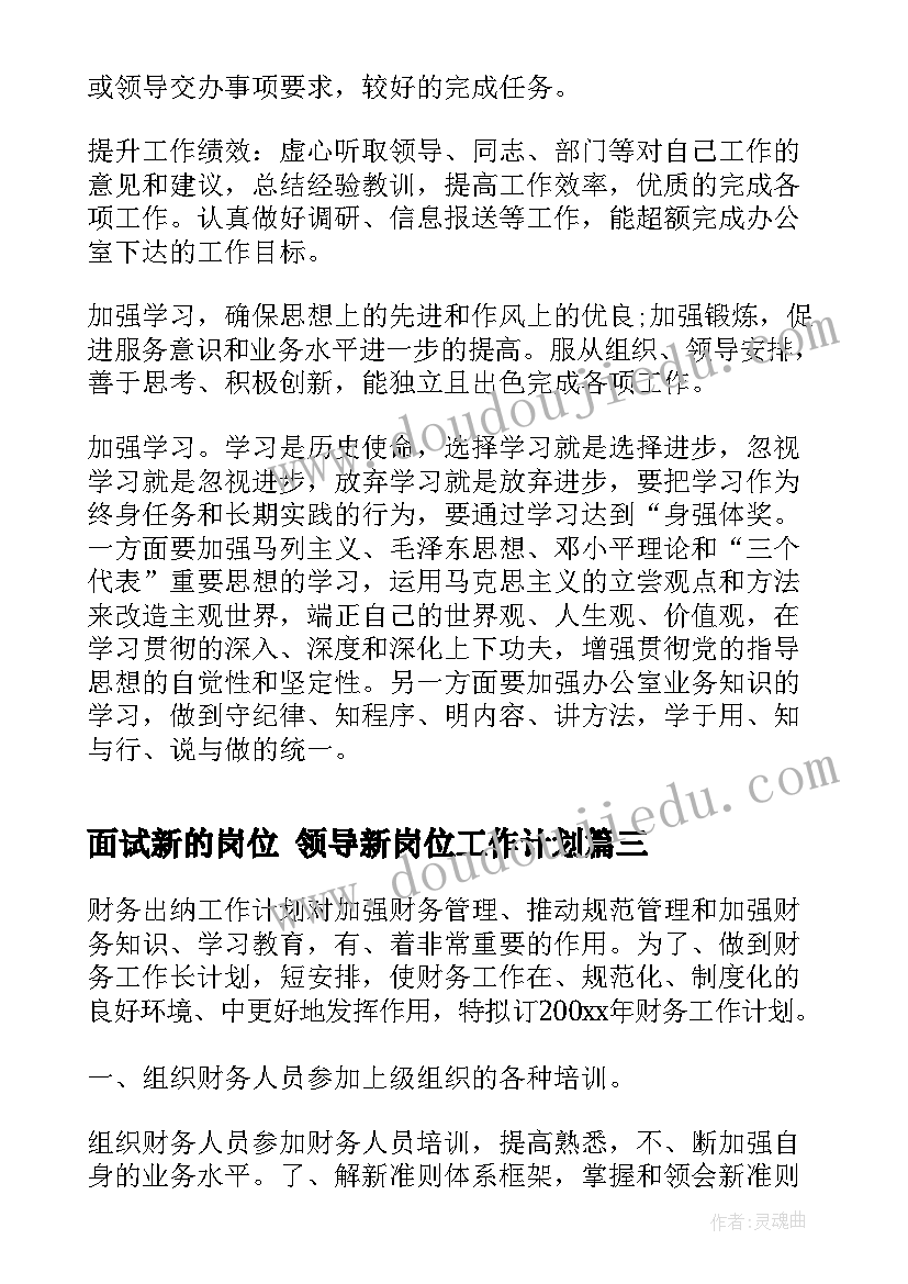 2023年面试新的岗位 领导新岗位工作计划(通用5篇)