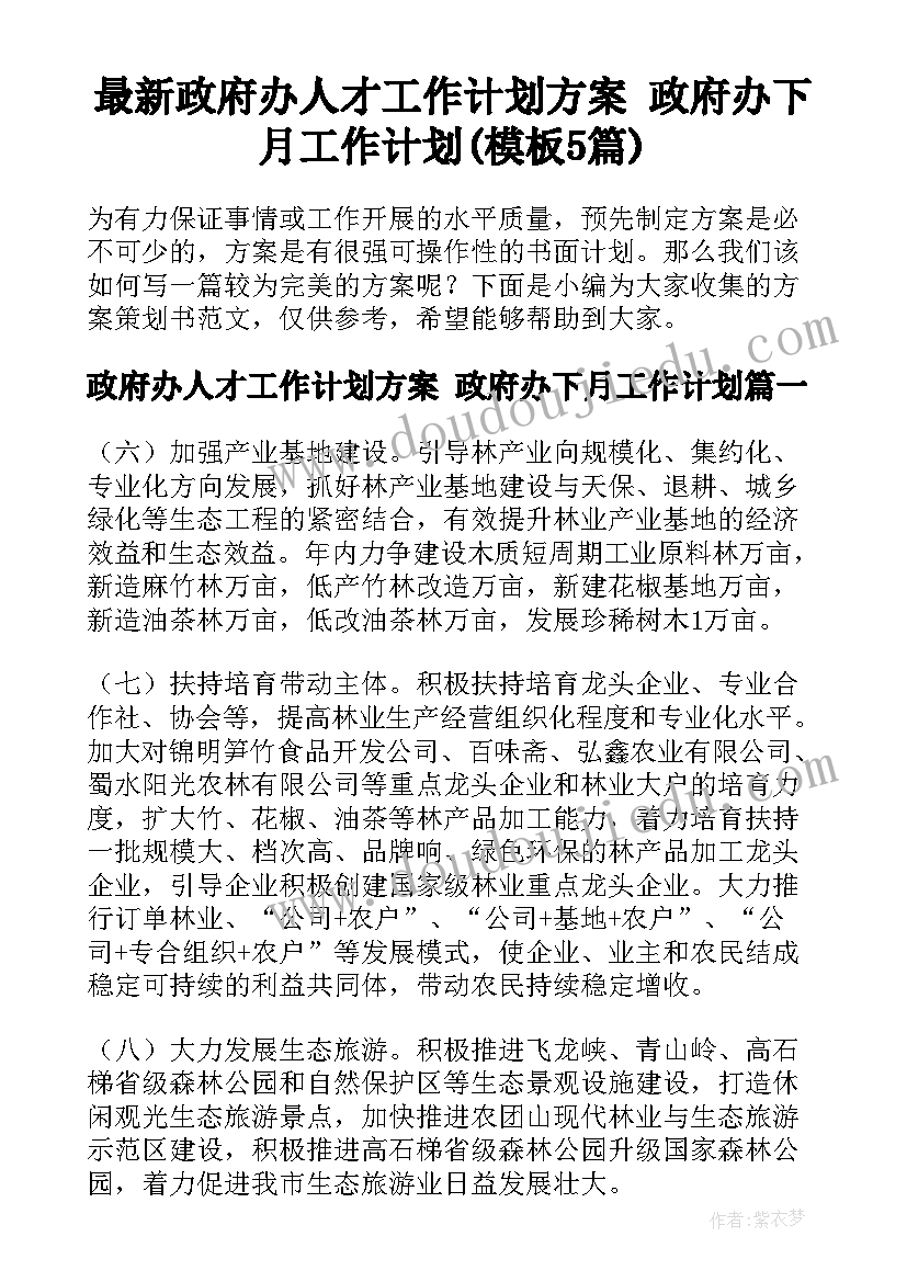 最新政府办人才工作计划方案 政府办下月工作计划(模板5篇)