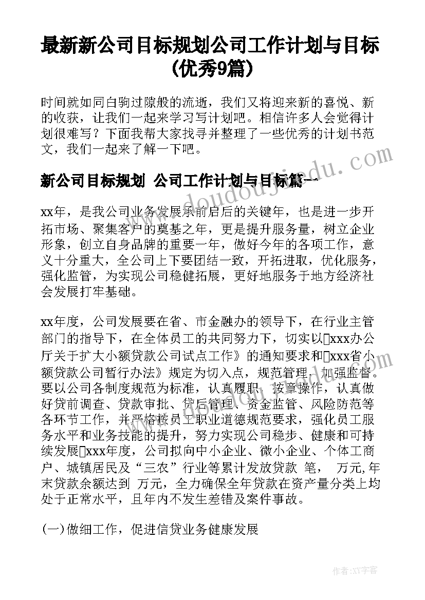 最新新公司目标规划 公司工作计划与目标(优秀9篇)