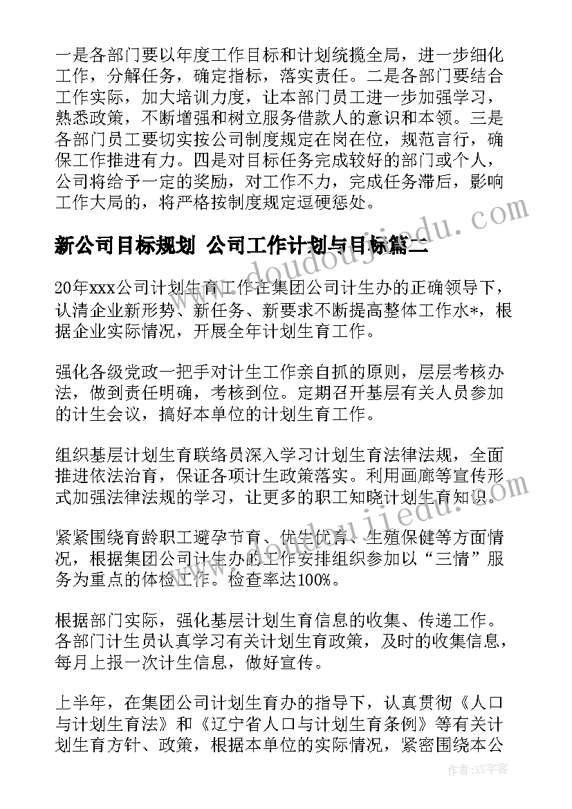 最新新公司目标规划 公司工作计划与目标(优秀9篇)