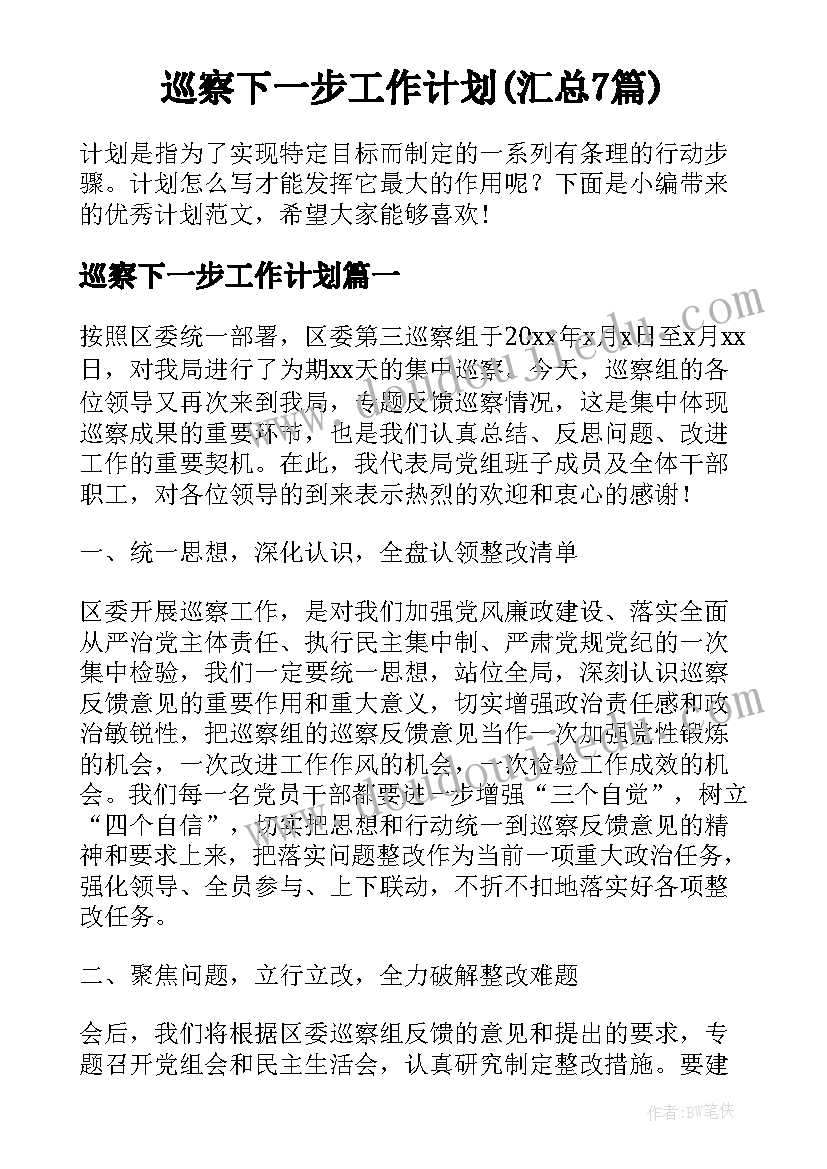 巡察下一步工作计划(汇总7篇)