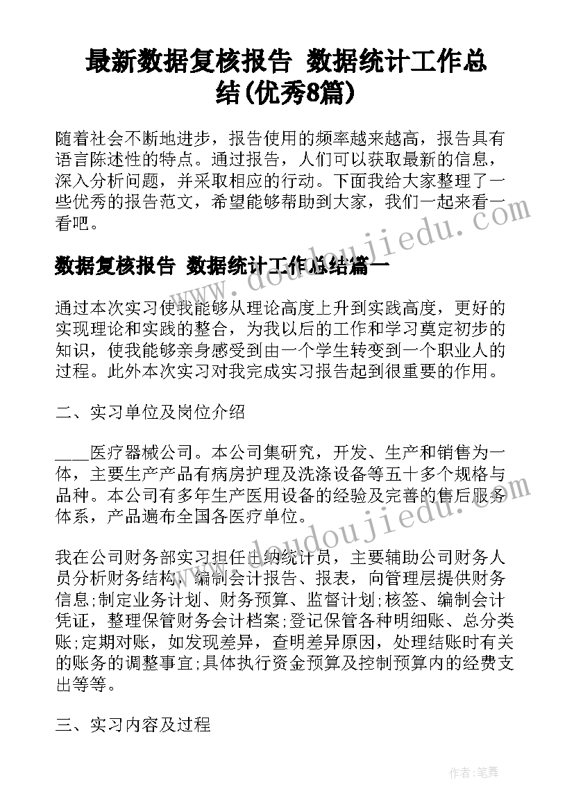 最新数据复核报告 数据统计工作总结(优秀8篇)