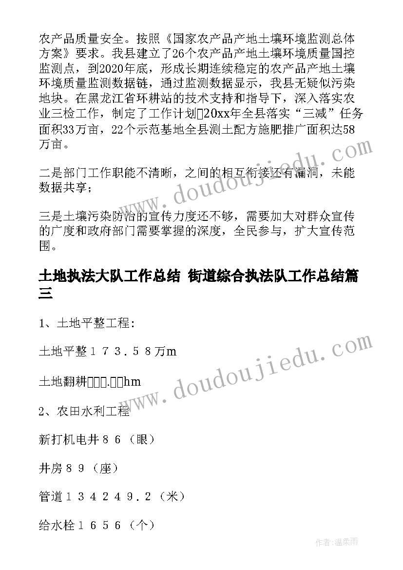 最新土地执法大队工作总结 街道综合执法队工作总结(精选9篇)