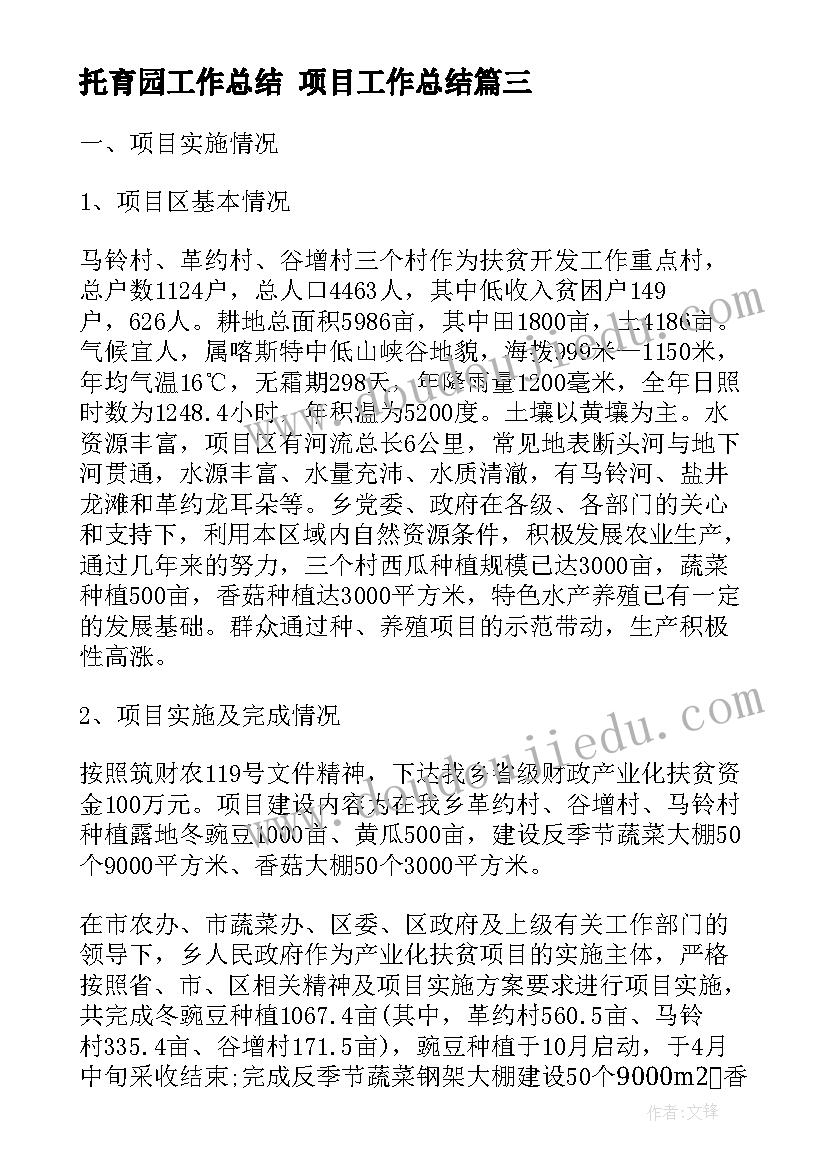 2023年托育园工作总结 项目工作总结(模板5篇)