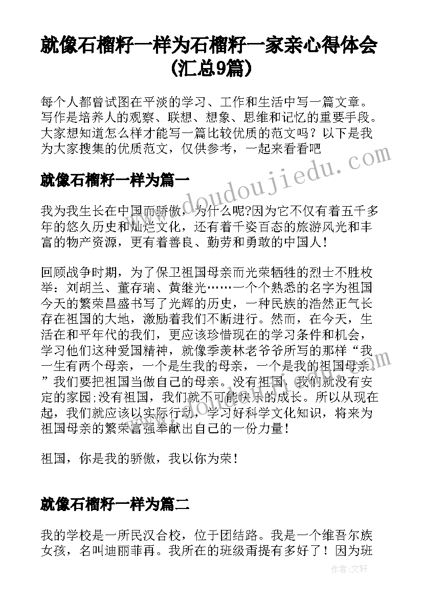 就像石榴籽一样为 石榴籽一家亲心得体会(汇总9篇)