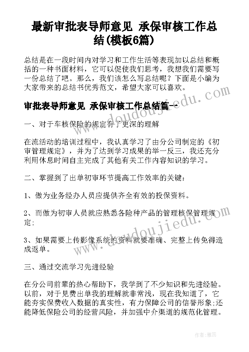 最新审批表导师意见 承保审核工作总结(模板6篇)