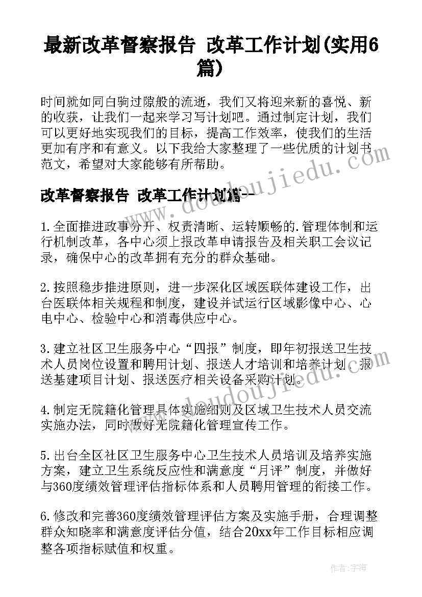 最新改革督察报告 改革工作计划(实用6篇)