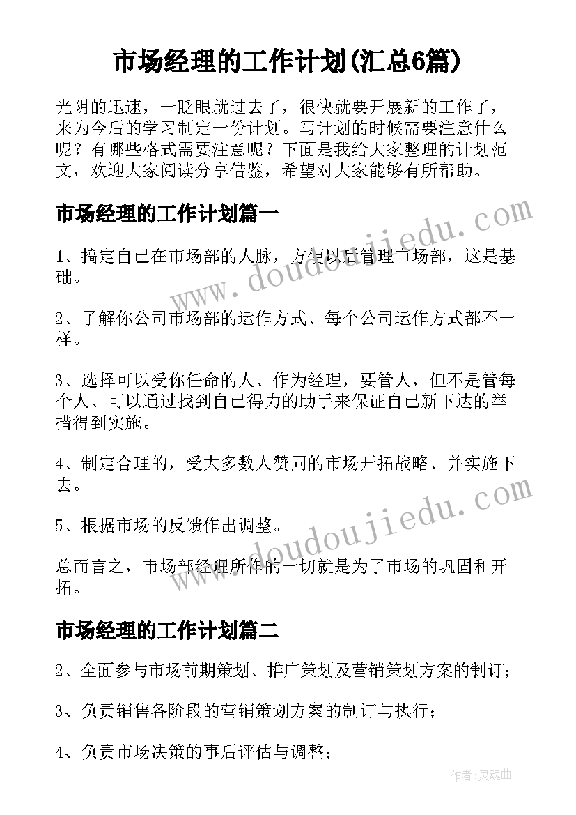 市场经理的工作计划(汇总6篇)