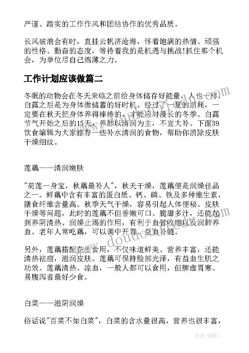 工作计划应该做(优秀6篇)