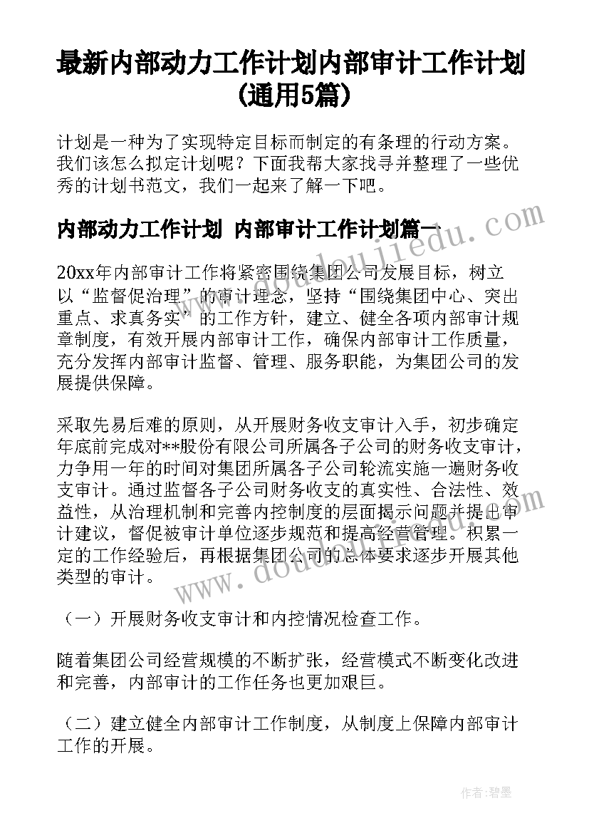 最新内部动力工作计划 内部审计工作计划(通用5篇)