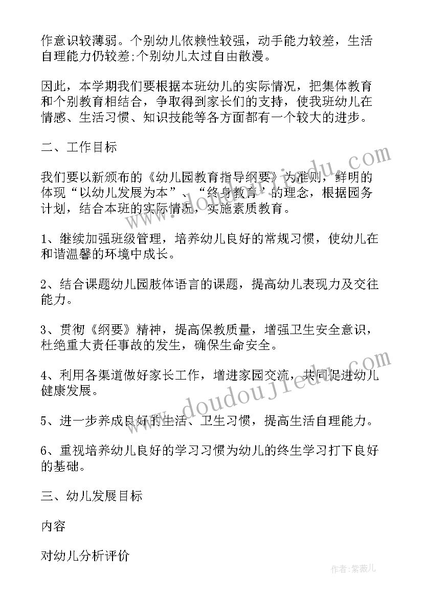 最新男幼师毕业工作计划和目标 幼师工作计划(大全10篇)