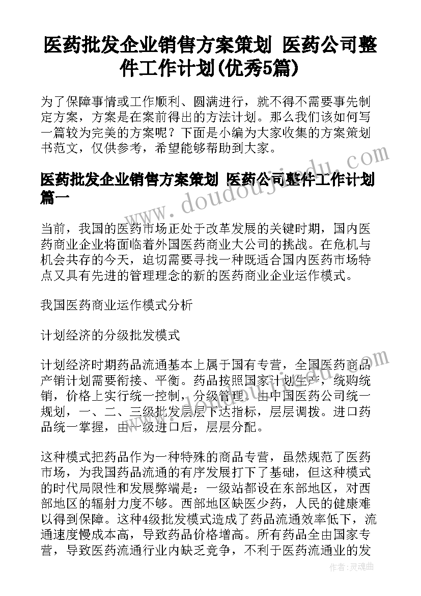 医药批发企业销售方案策划 医药公司整件工作计划(优秀5篇)