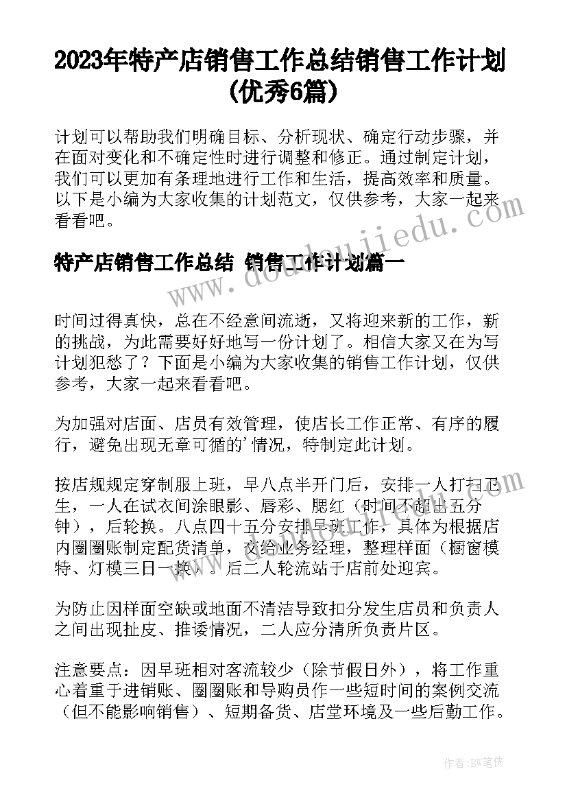 2023年特产店销售工作总结 销售工作计划(优秀6篇)