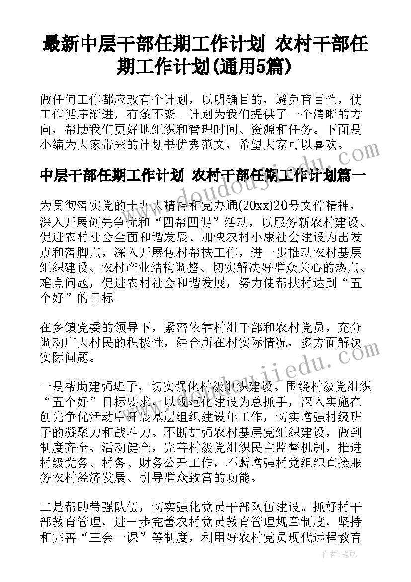 最新中层干部任期工作计划 农村干部任期工作计划(通用5篇)