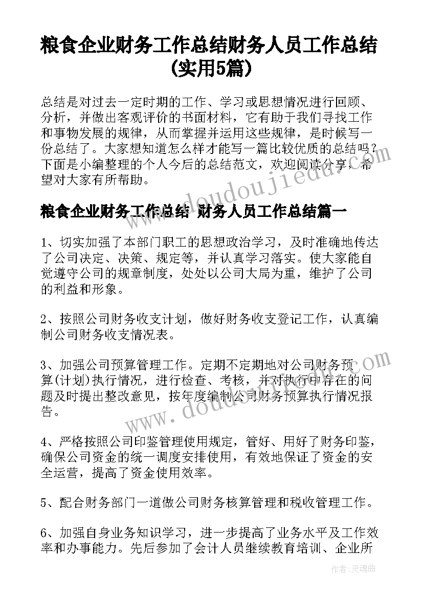 粮食企业财务工作总结 财务人员工作总结(实用5篇)