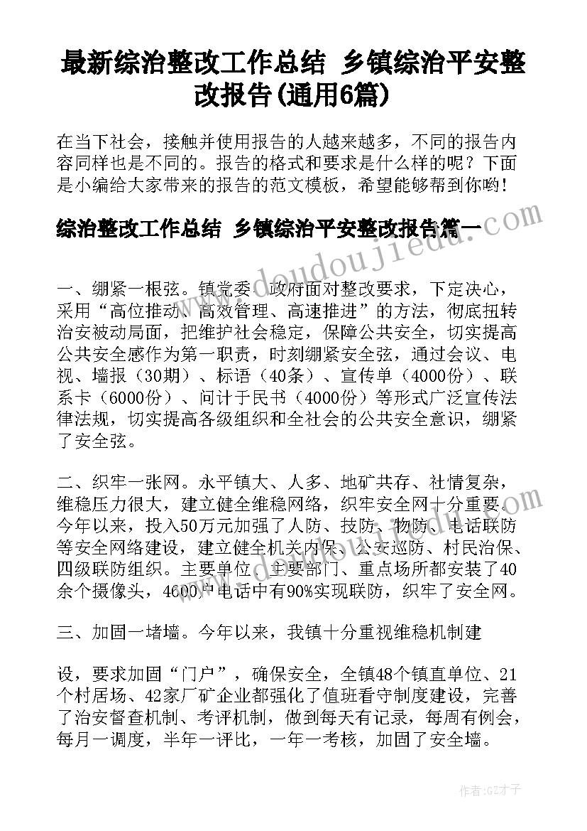 最新综治整改工作总结 乡镇综治平安整改报告(通用6篇)