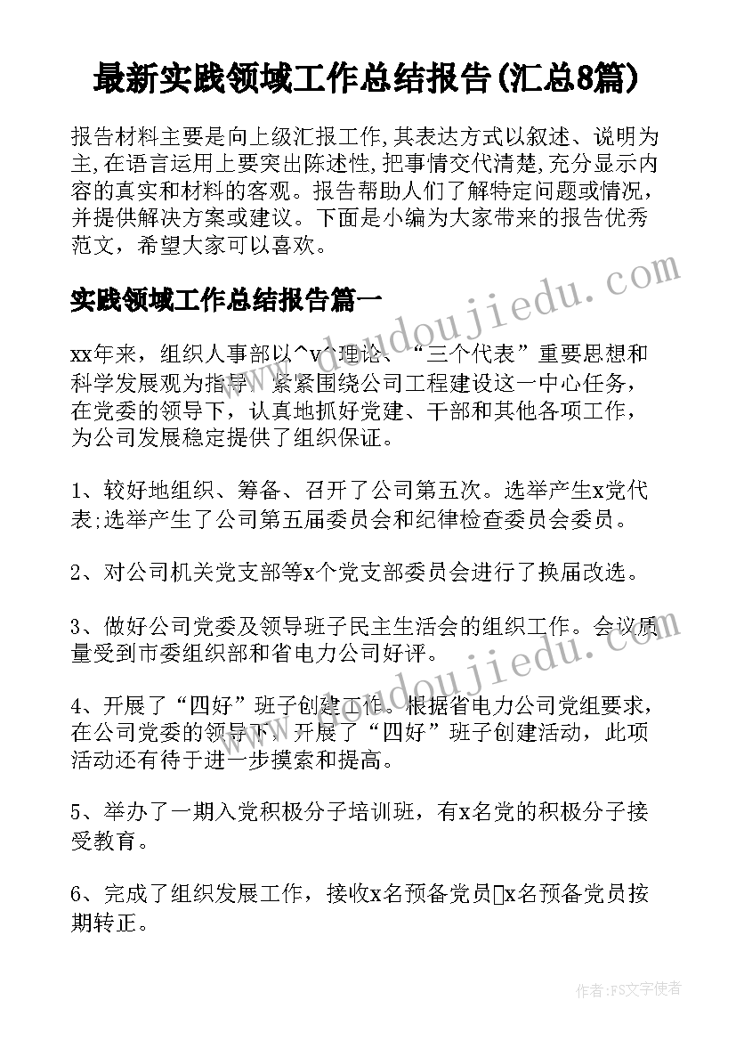 最新实践领域工作总结报告(汇总8篇)