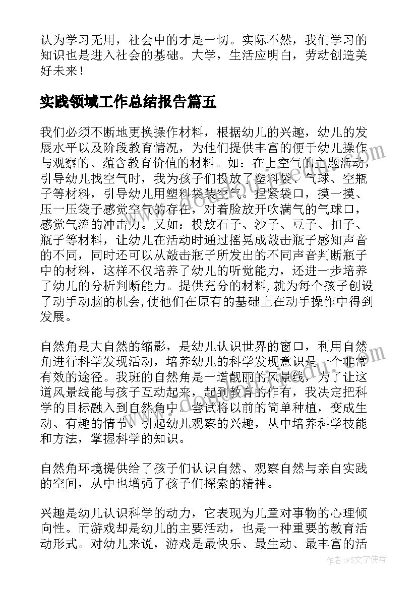 最新实践领域工作总结报告(汇总8篇)