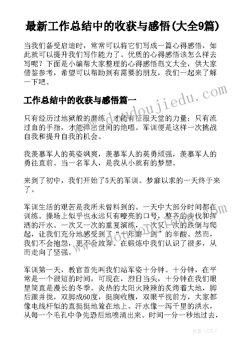 公安局个人年度总结报告 个人年终工作总结(优秀9篇)