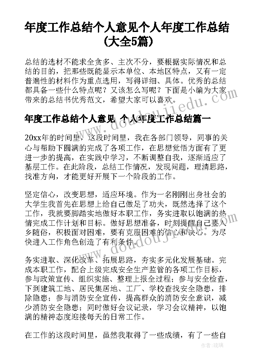 年度工作总结个人意见 个人年度工作总结(大全5篇)