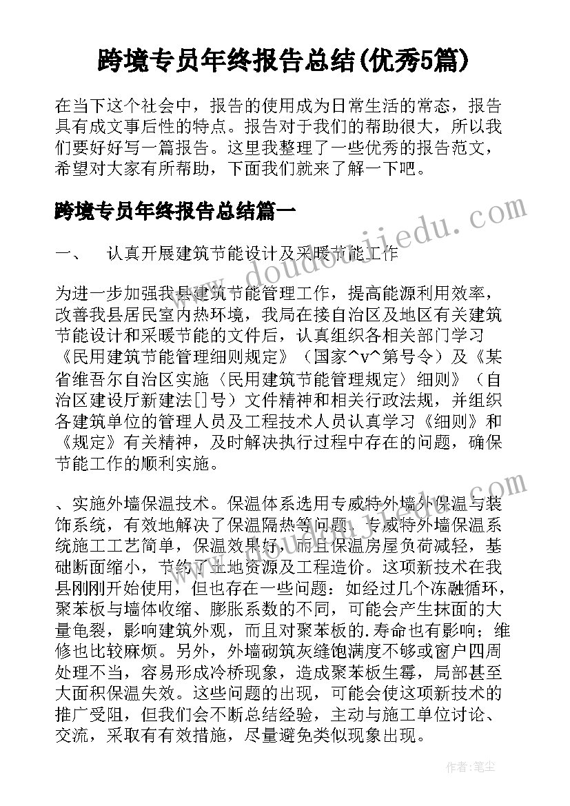 跨境专员年终报告总结(优秀5篇)