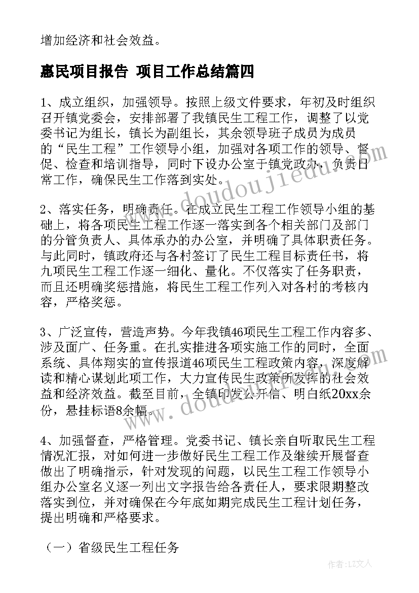 2023年惠民项目报告 项目工作总结(模板6篇)