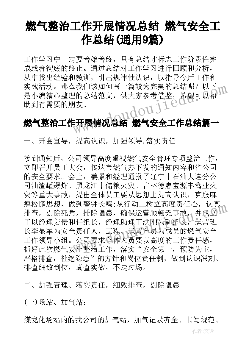 燃气整治工作开展情况总结 燃气安全工作总结(通用9篇)