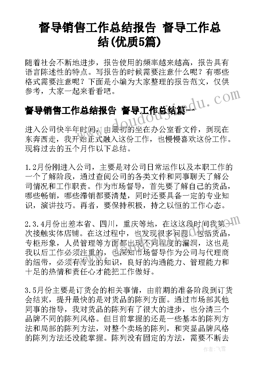 督导销售工作总结报告 督导工作总结(优质5篇)