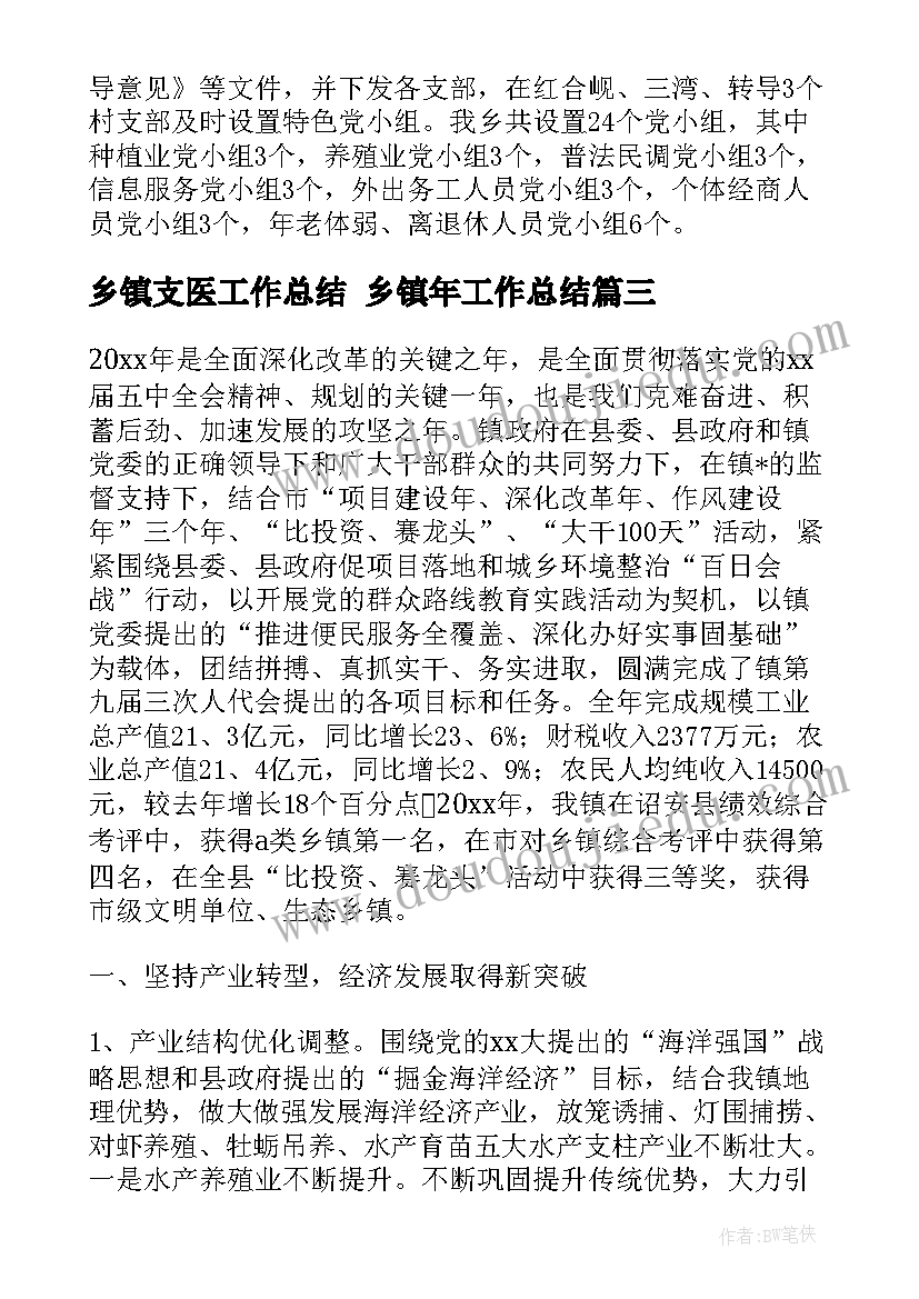 乡镇支医工作总结 乡镇年工作总结(精选9篇)