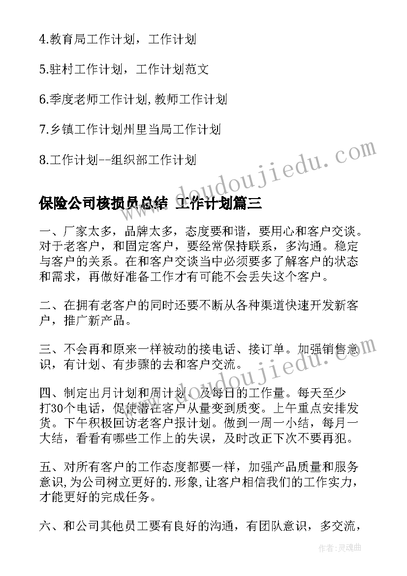 保险公司核损员总结 工作计划(优秀8篇)