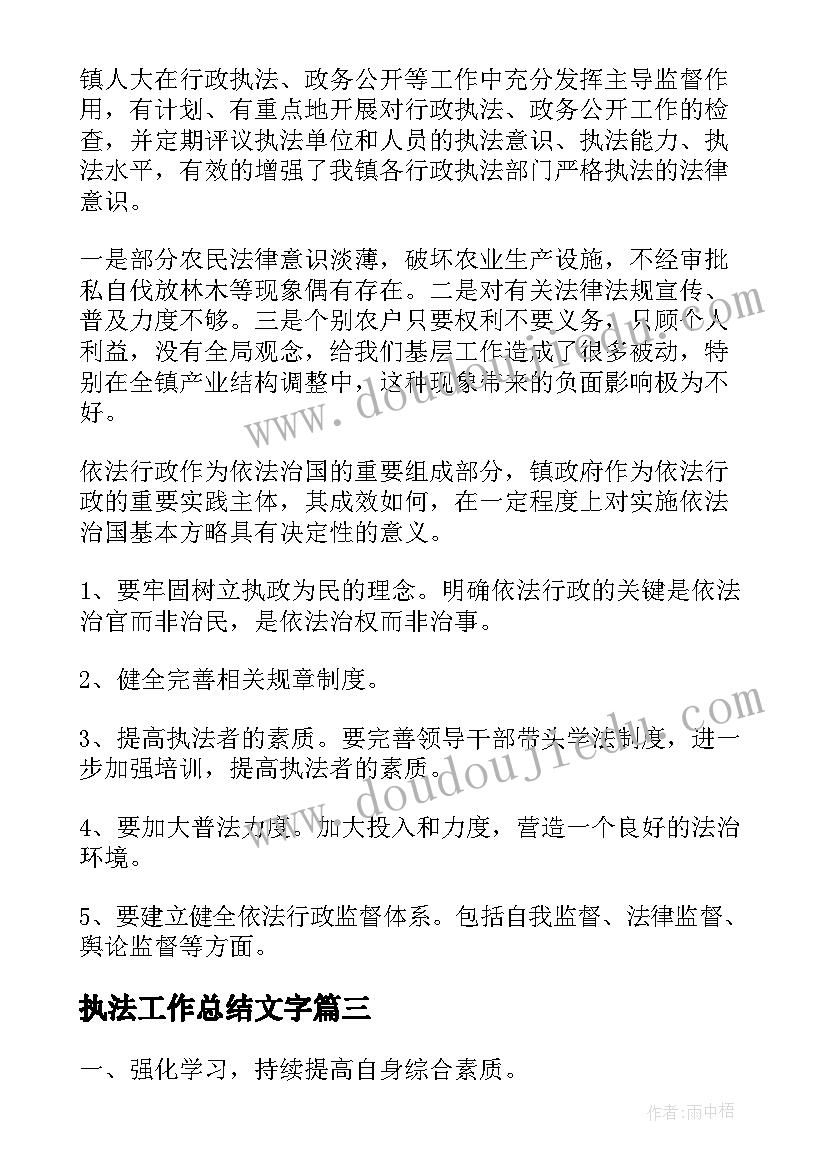 2023年执法工作总结文字(大全7篇)