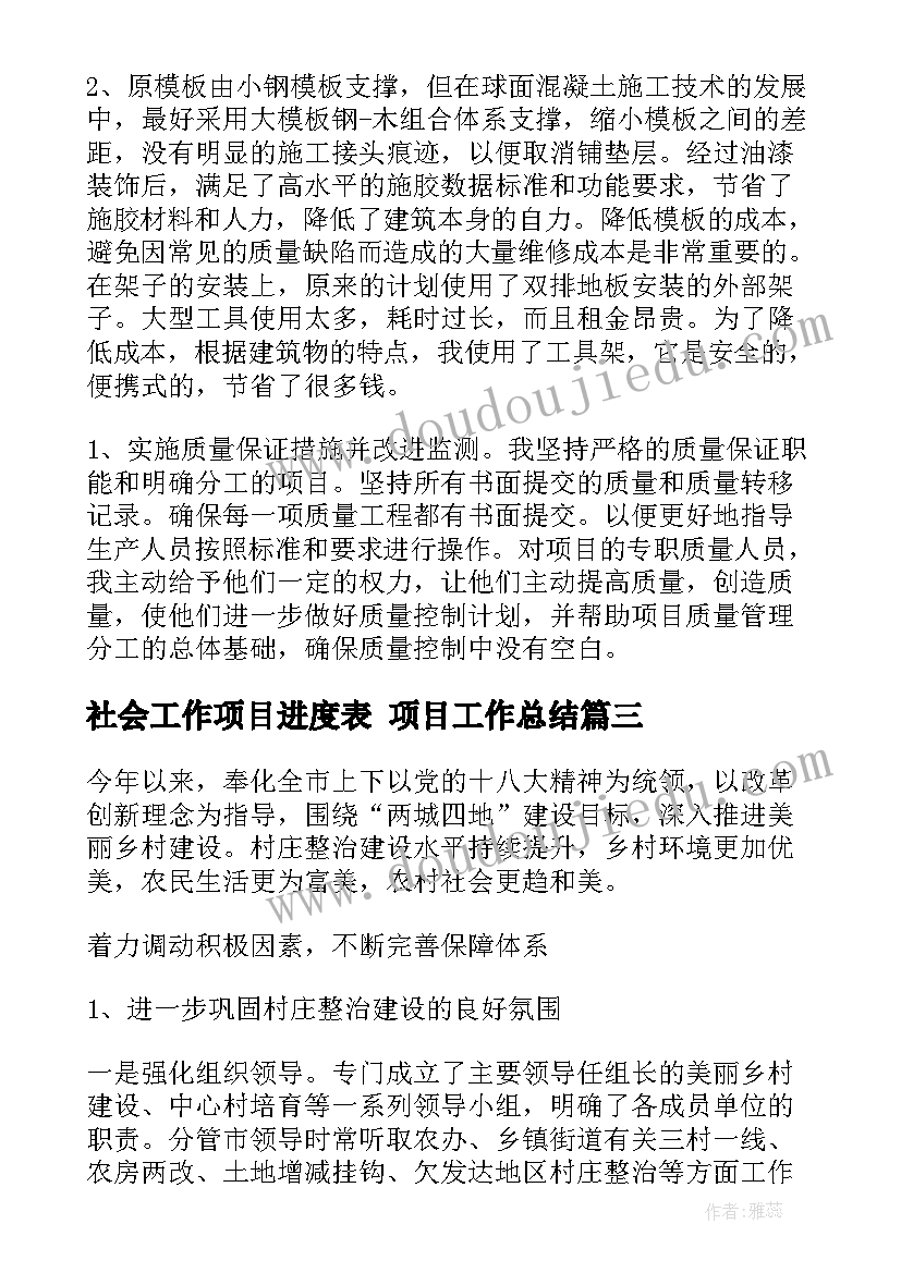 最新社会工作项目进度表 项目工作总结(通用5篇)