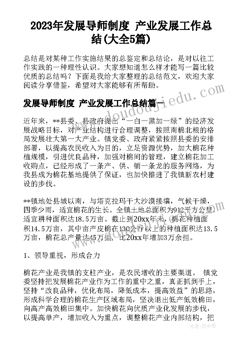 2023年发展导师制度 产业发展工作总结(大全5篇)