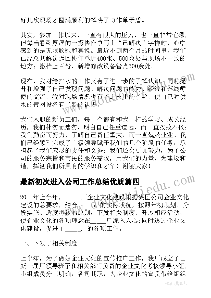 初次进入公司工作总结(实用5篇)