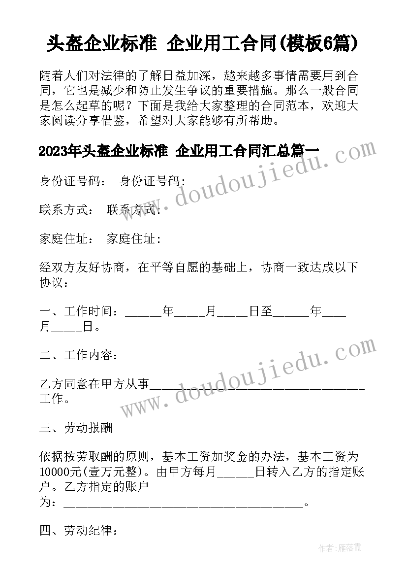 头盔企业标准 企业用工合同(模板6篇)