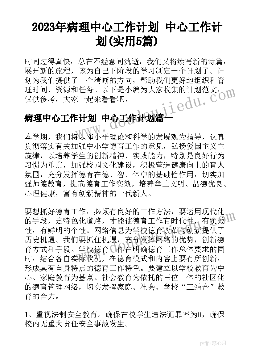 2023年病理中心工作计划 中心工作计划(实用5篇)