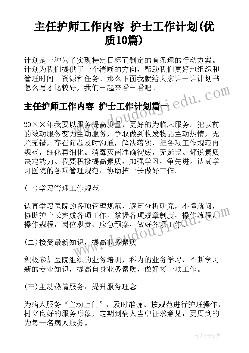 主任护师工作内容 护士工作计划(优质10篇)